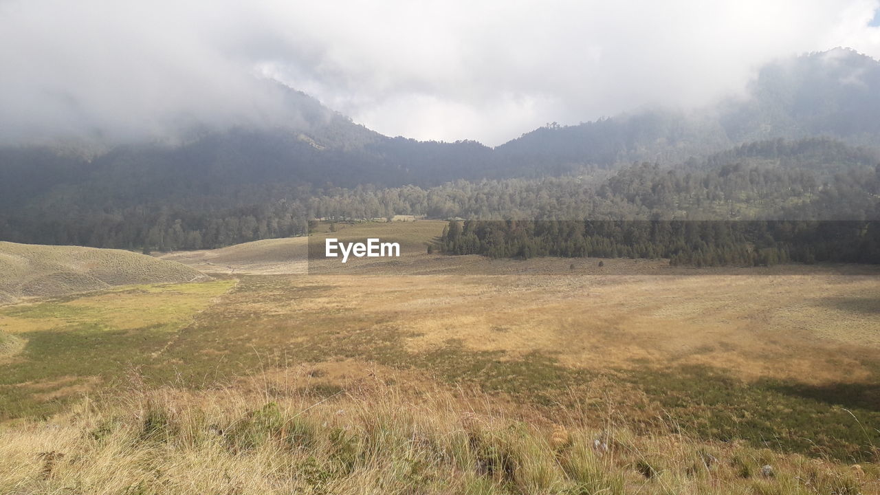 Scenic view of landscape against sky