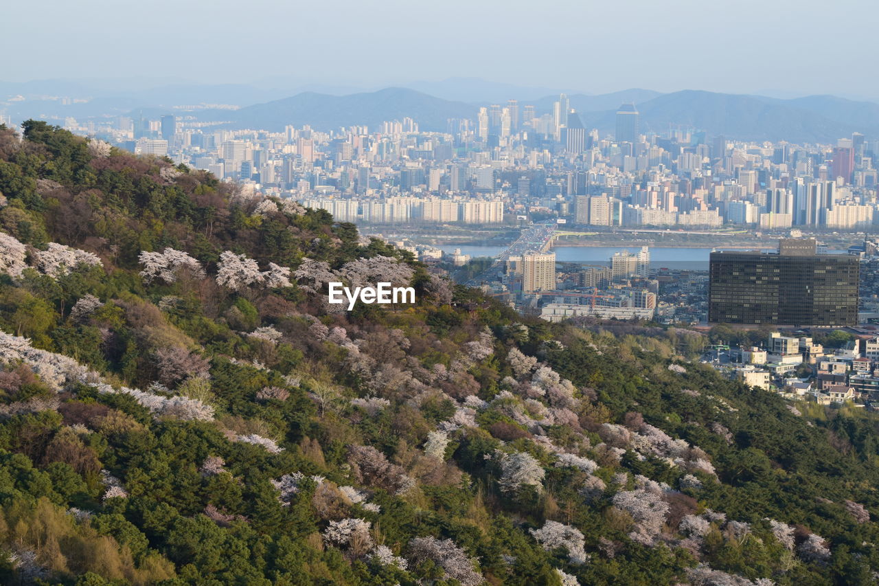 HIGH ANGLE VIEW OF BUILDINGS IN CITY