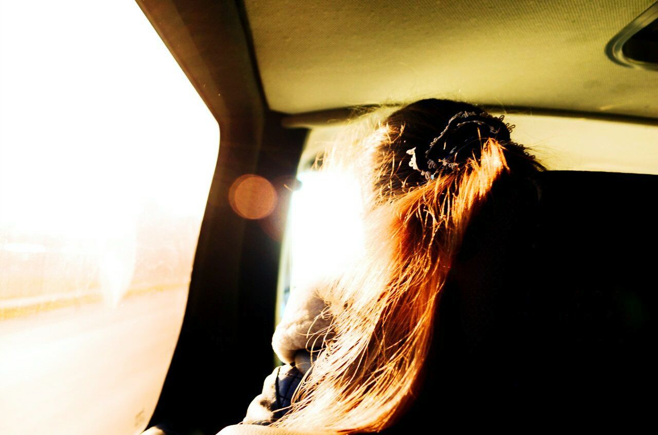 Rear view of woman sitting in car on sunny day