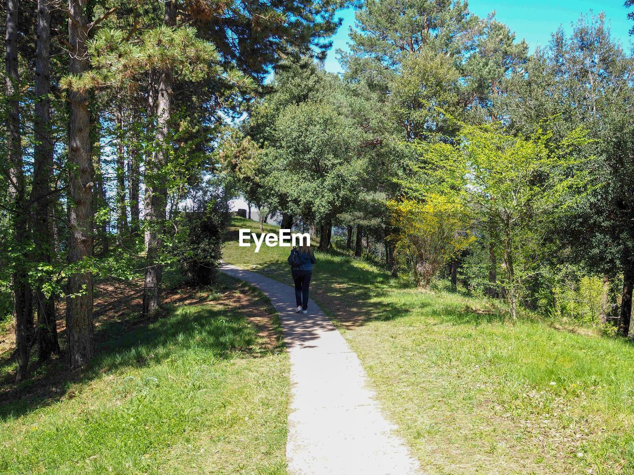 Rear view of woman walking on road amidst trees in park