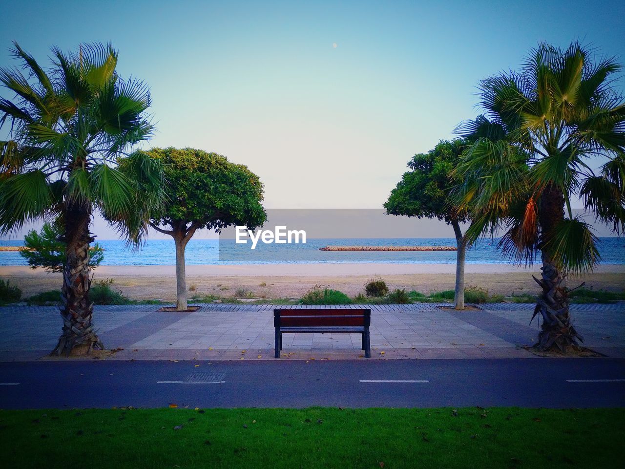 Trees on footpath by beach against sky