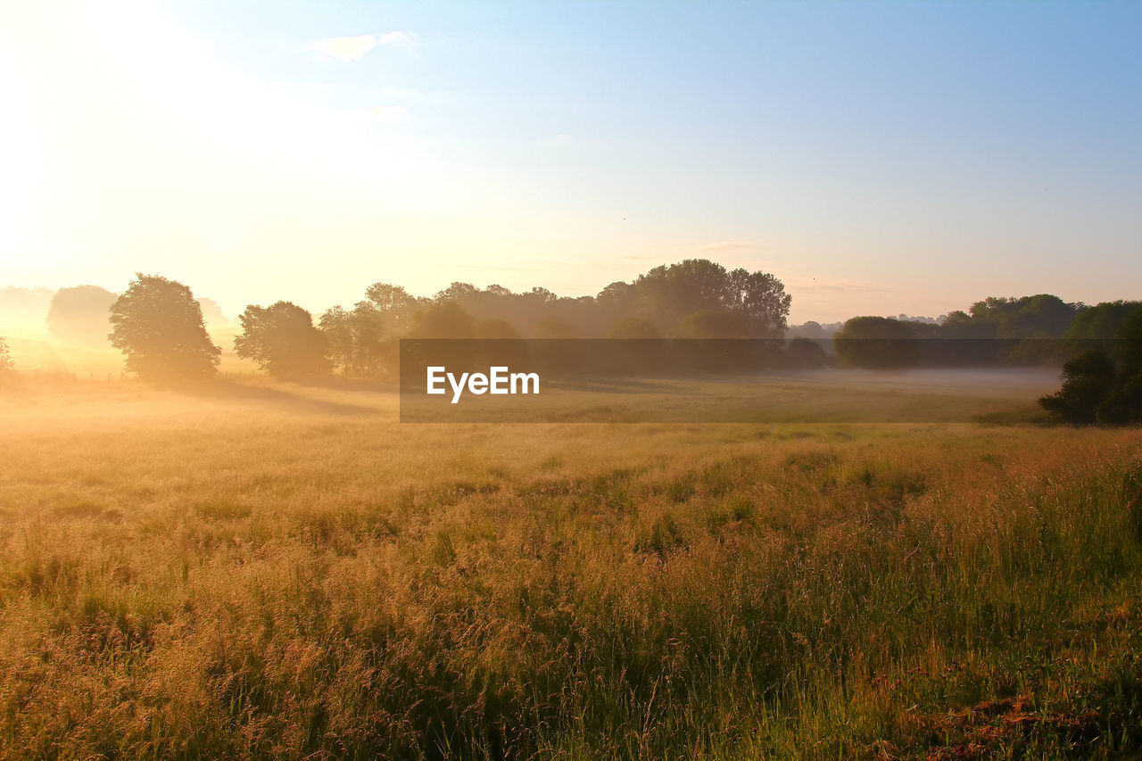 Scenic view of field against sky during sunset