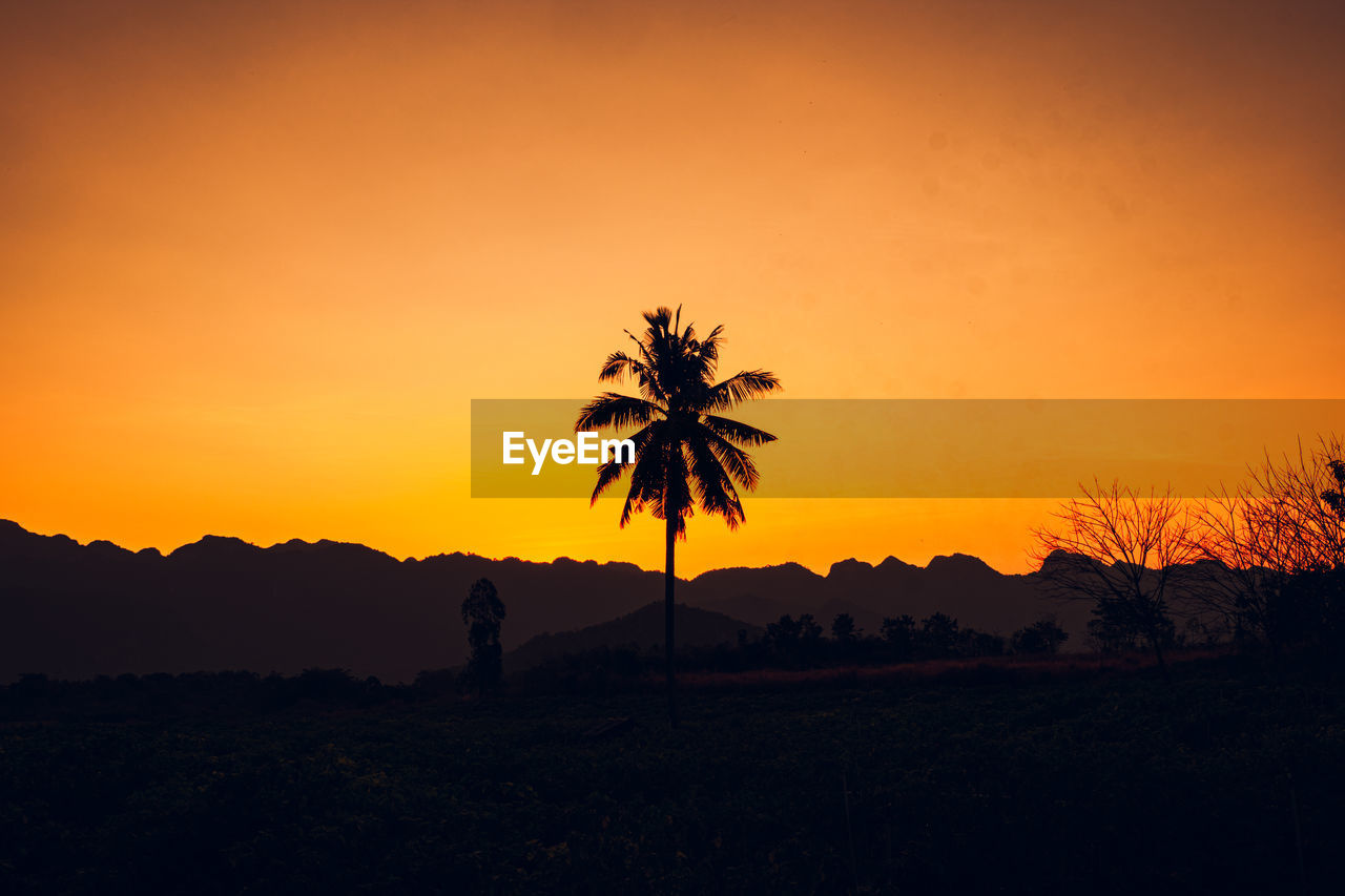 sunset, sky, silhouette, beauty in nature, scenics - nature, landscape, tree, nature, environment, horizon, orange color, land, plant, tranquility, dawn, tranquil scene, tropical climate, travel destinations, afterglow, palm tree, evening, travel, sunlight, mountain, sun, outdoors, idyllic, no people, holiday, tourism, non-urban scene, copy space, vacation, trip