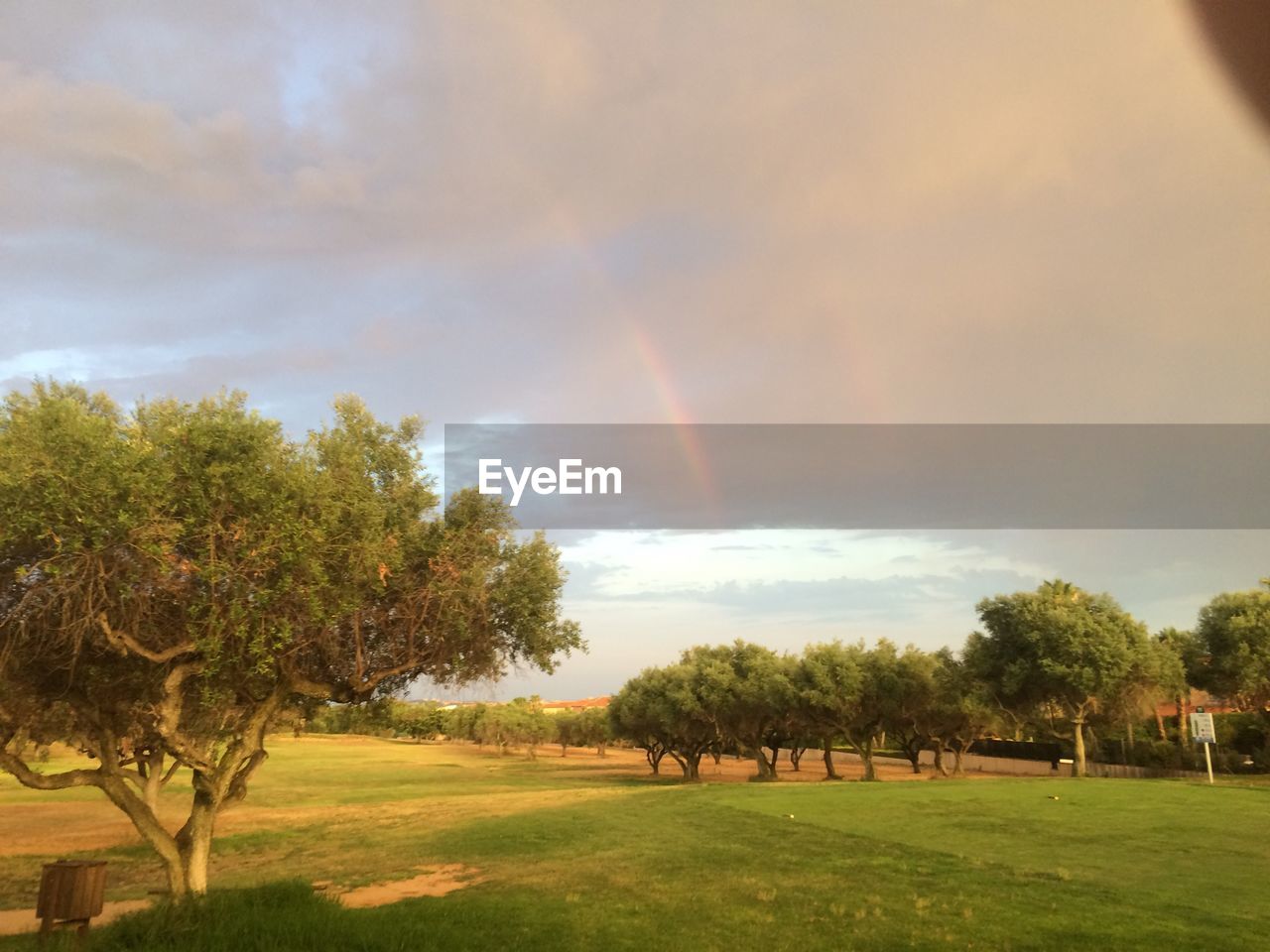 TREES ON FIELD AGAINST CLOUDY SKY