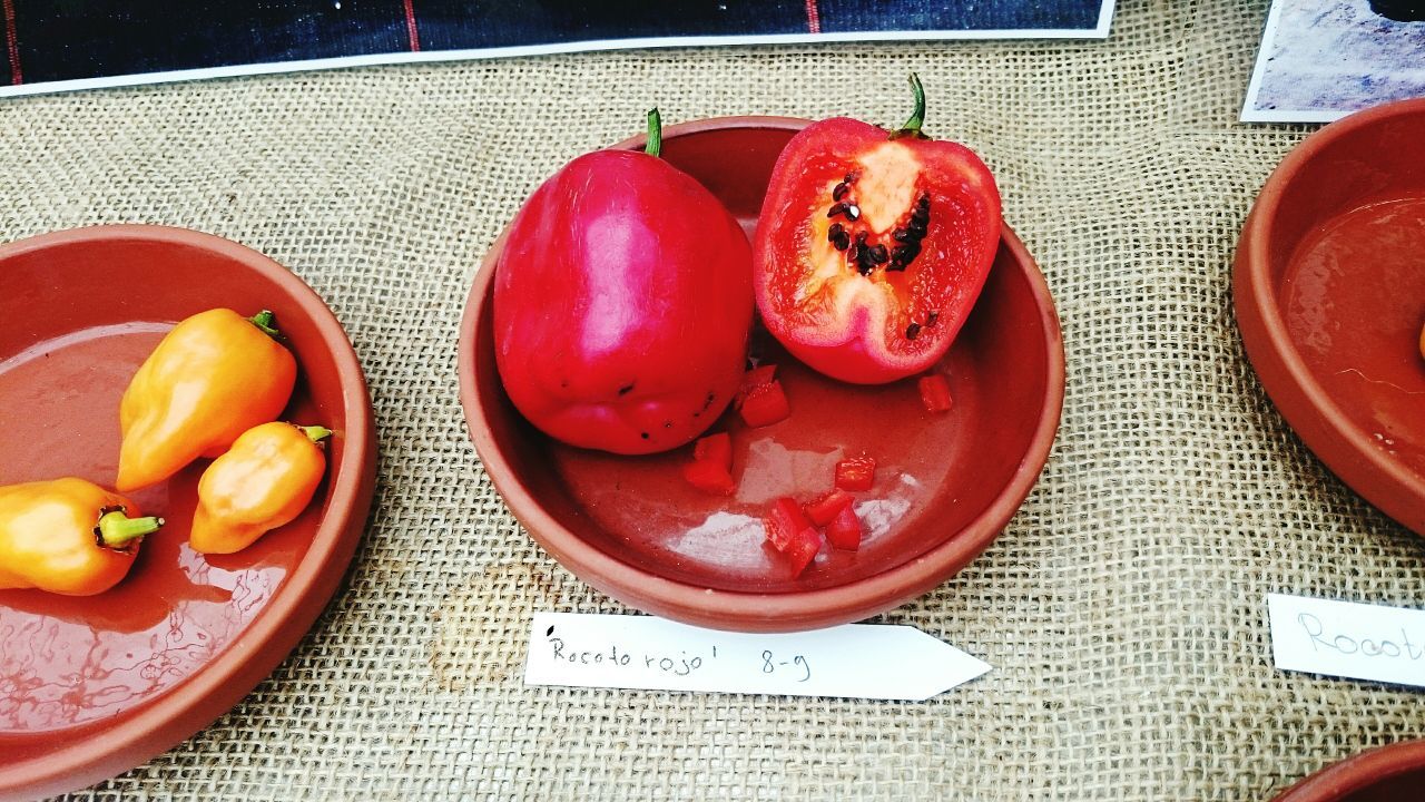 HIGH ANGLE VIEW OF CHOPPED FRUITS IN PLATE