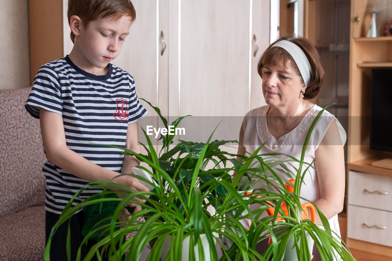The family is engaged in gardening at home. the concept of spring care for home plants and flowers.
