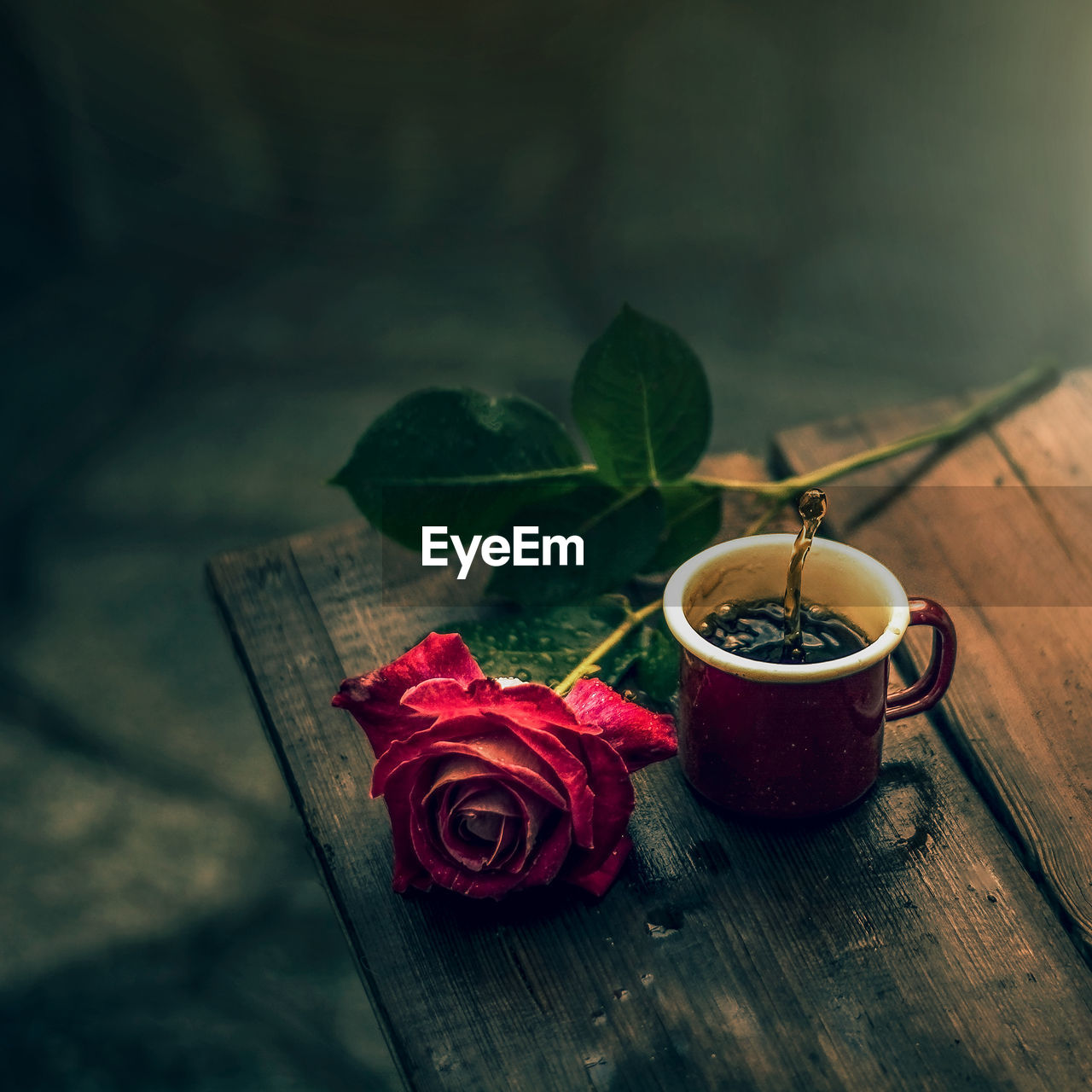 Close-up of red rose and coffee cup on table