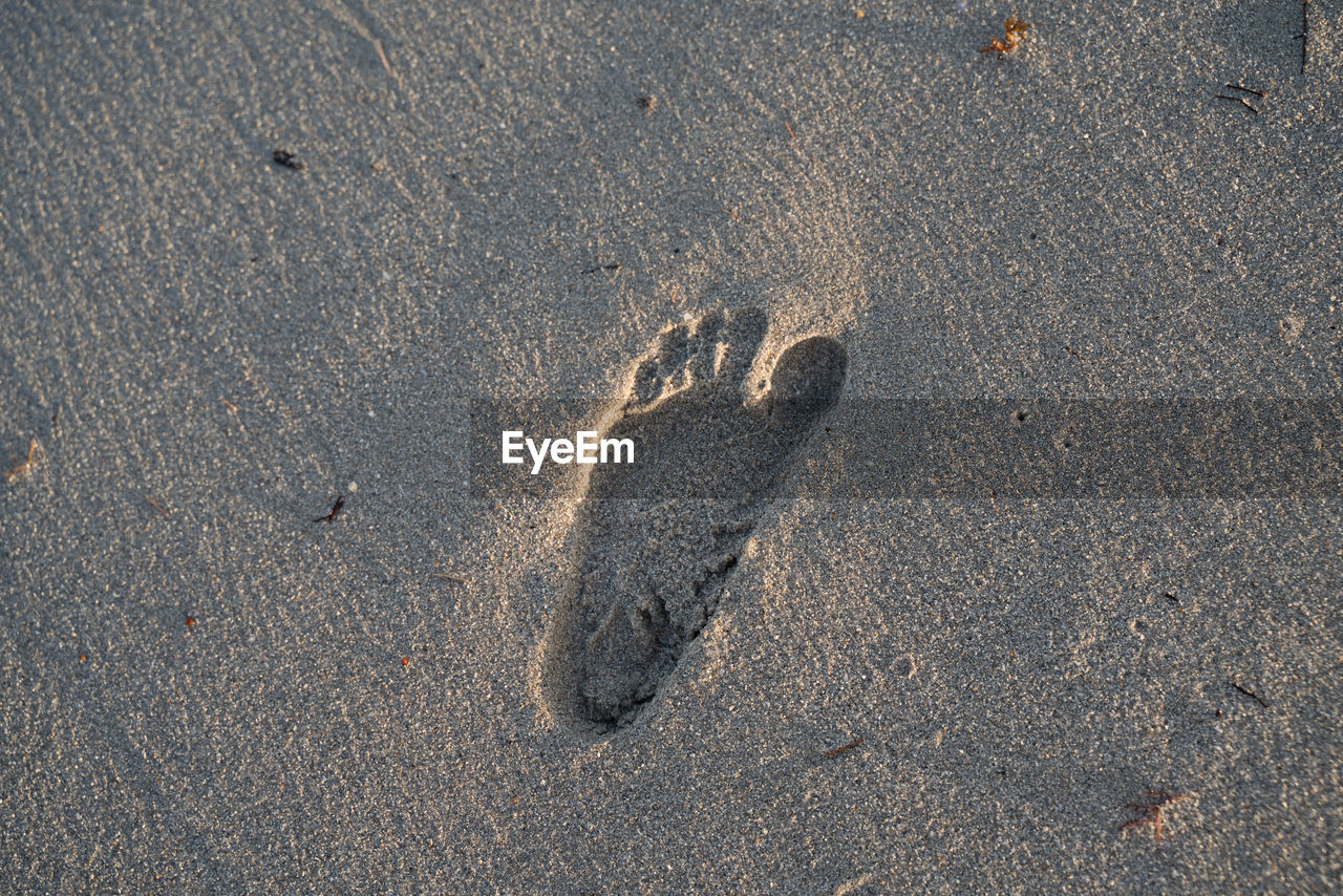 HIGH ANGLE VIEW OF STARFISH ON SAND