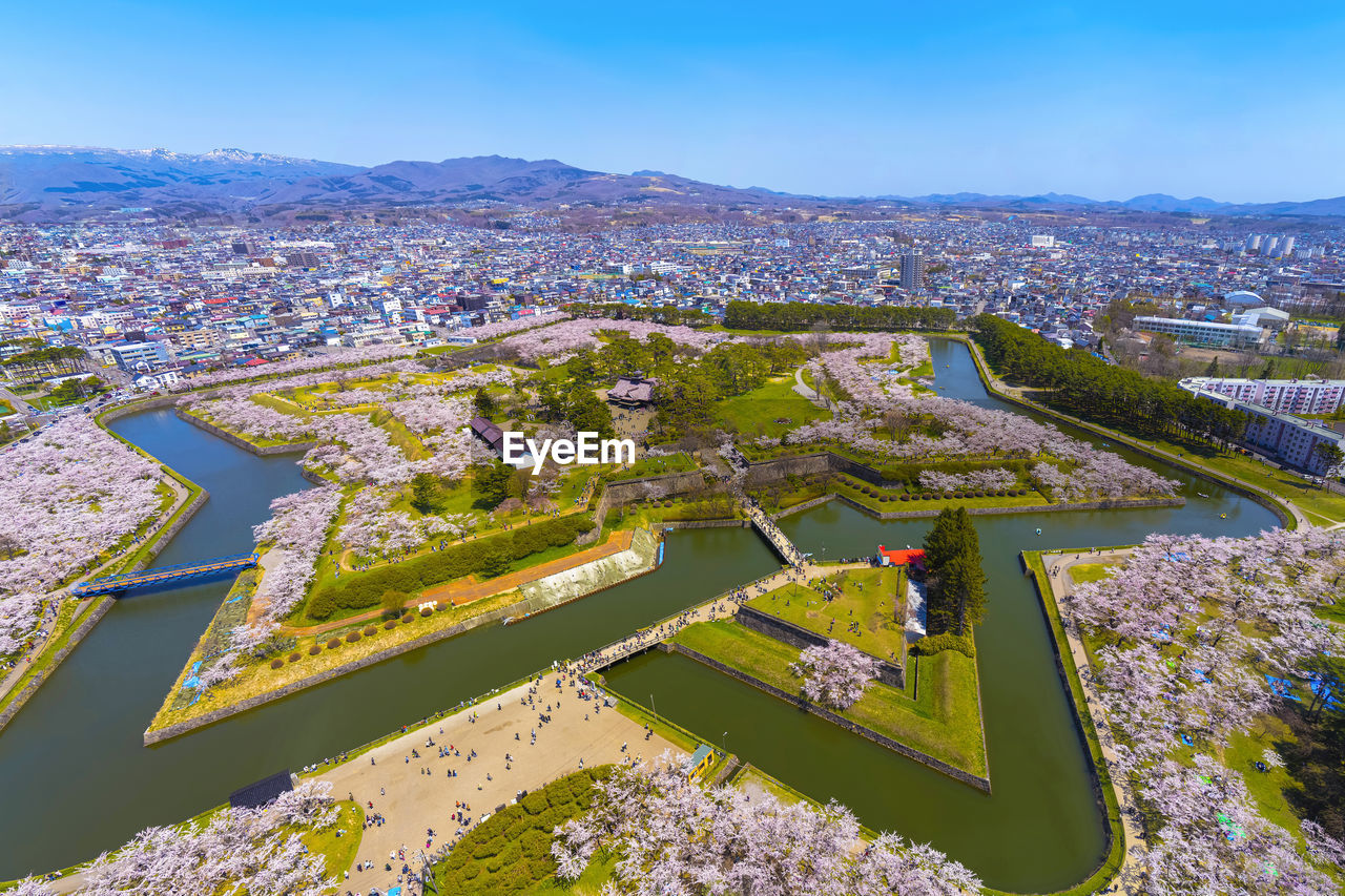 Goryokaku star fort park in springtime cherry blossom. sakura flowers in hakodate, hokkaido, japan