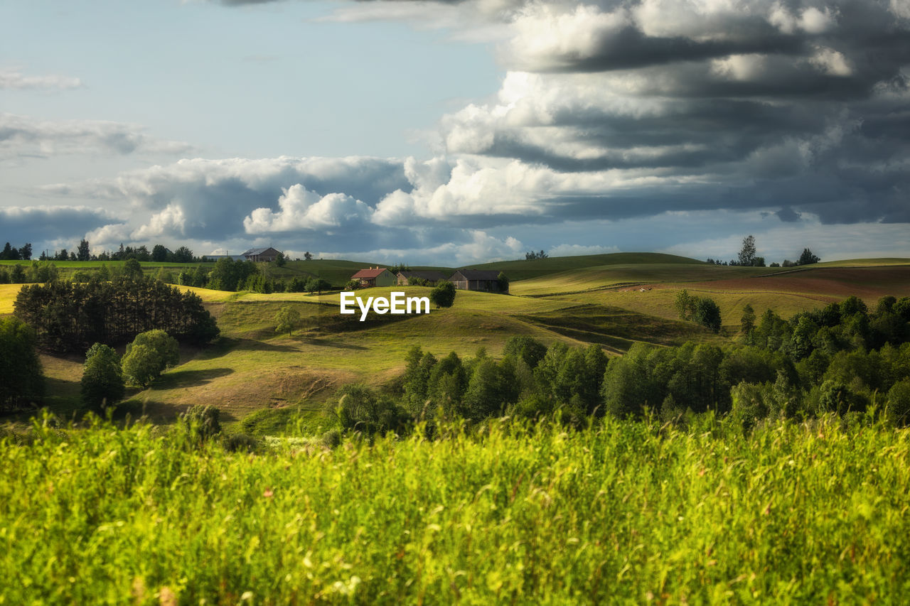 Suwalki region in poland / suwalszczyzna fields near rutka-tartak