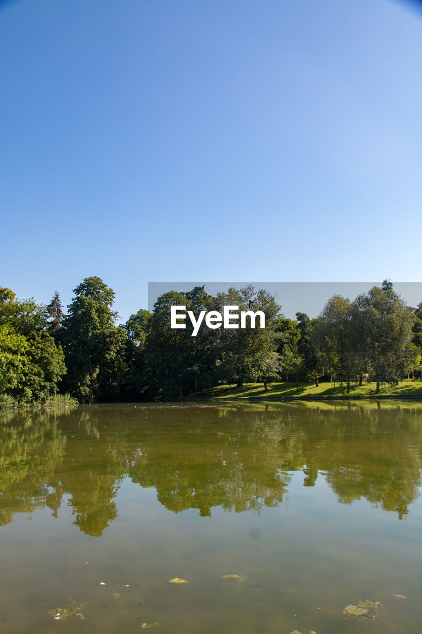 SCENIC VIEW OF LAKE AND TREES AGAINST CLEAR SKY
