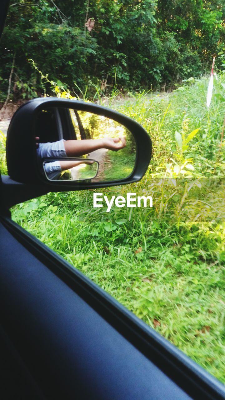 REFLECTION OF MAN ON CAR MIRROR IN PARK