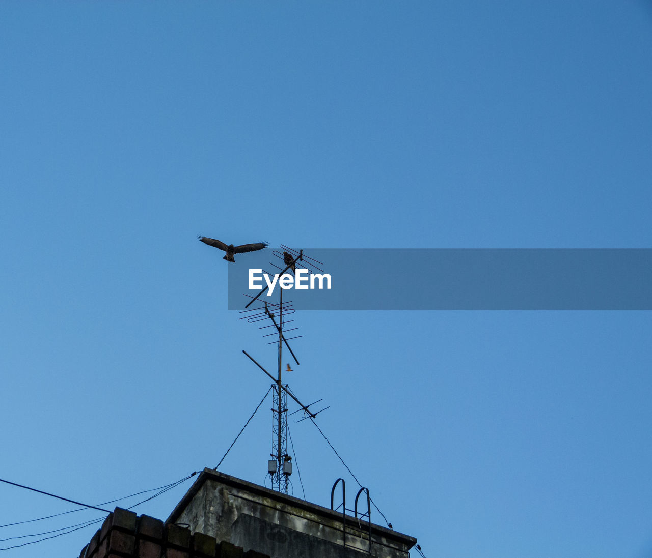 LOW ANGLE VIEW OF COMMUNICATIONS TOWER AGAINST CLEAR SKY