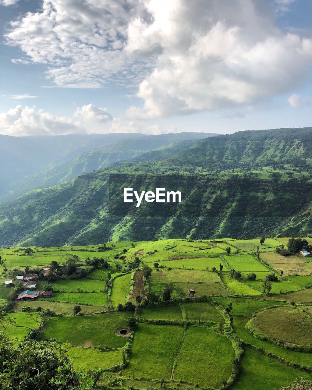 Scenic view of agricultural landscape against sky