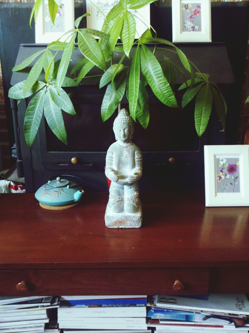 POTTED PLANTS ON THE WALL