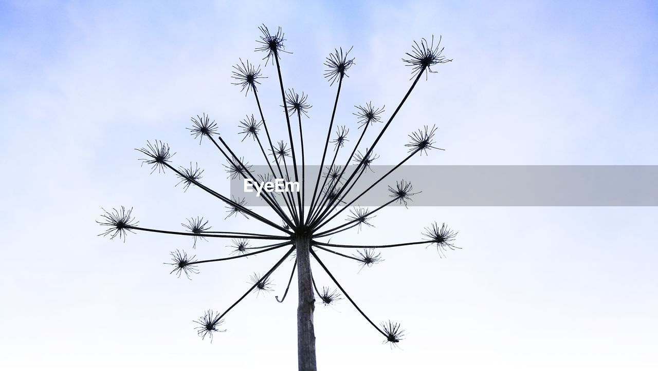 LOW ANGLE VIEW OF FERRIS WHEEL AGAINST SKY