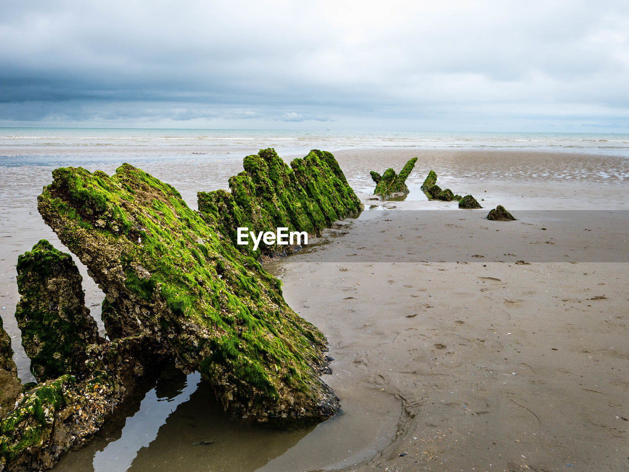 Algae covered remains of a world war ship at a beach in northern france
