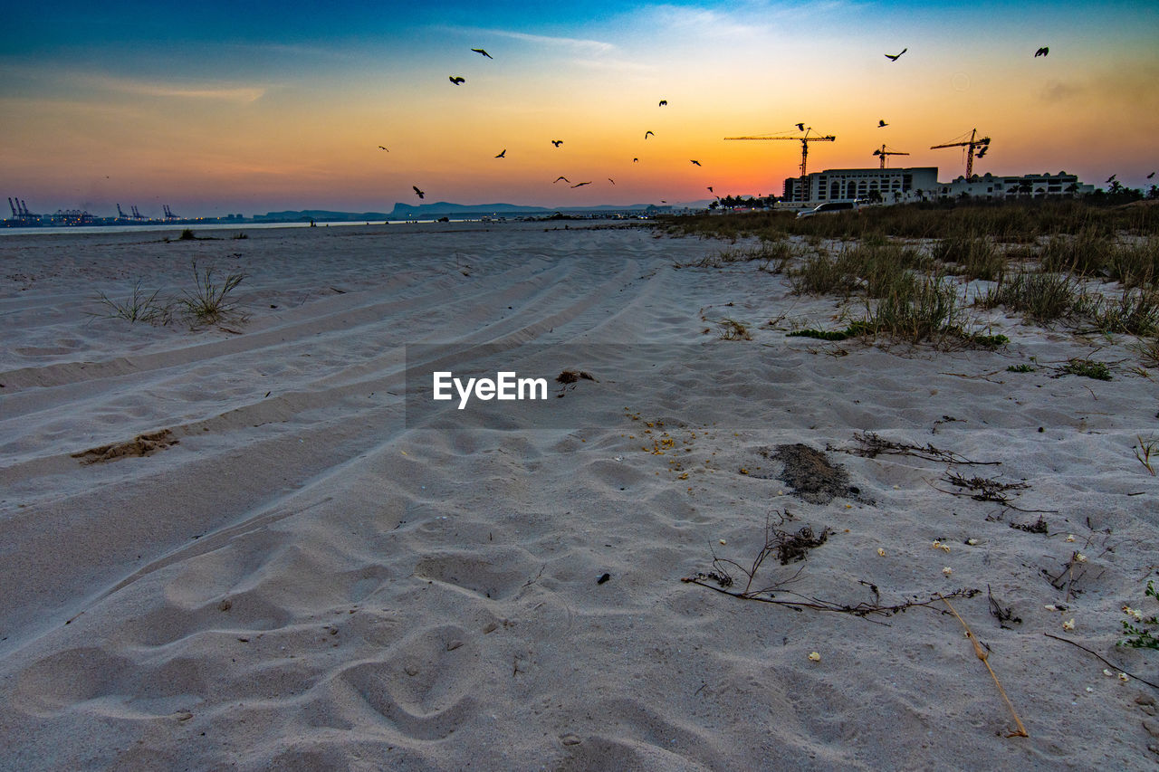 SCENIC VIEW OF BEACH DURING SUNSET