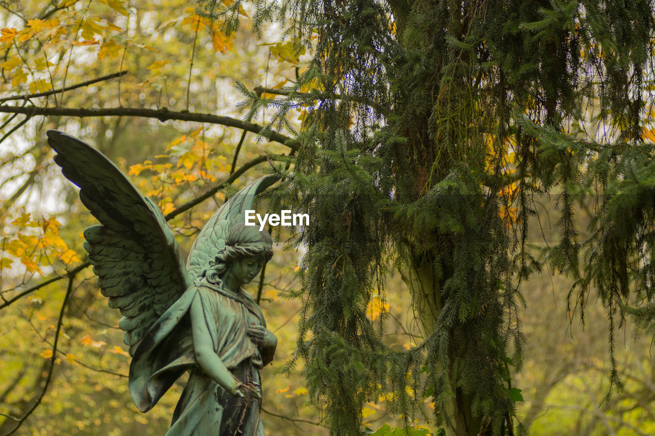 LOW ANGLE VIEW OF BIRD ON TREE BRANCHES