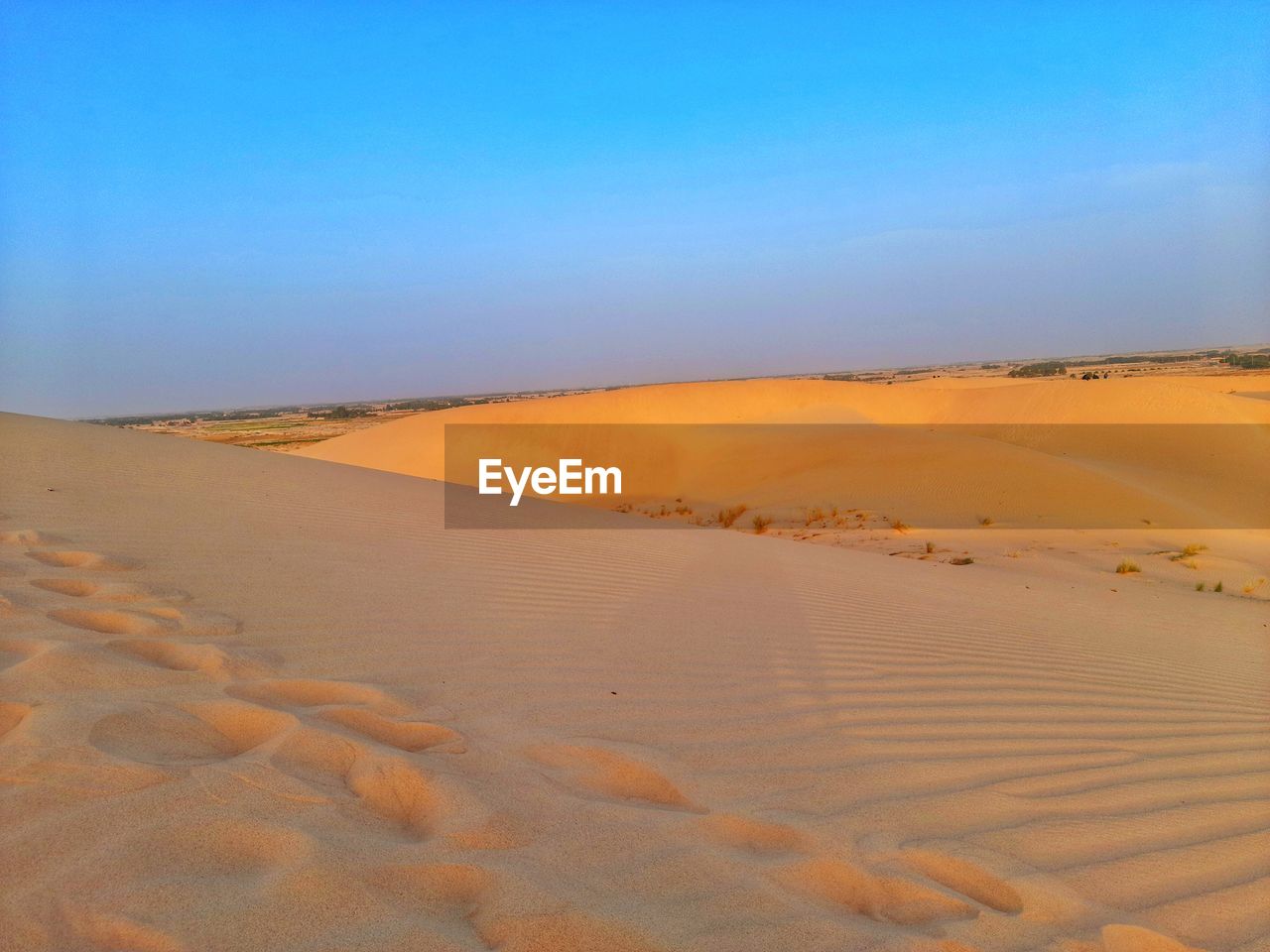 SCENIC VIEW OF SAND DUNES AGAINST SKY