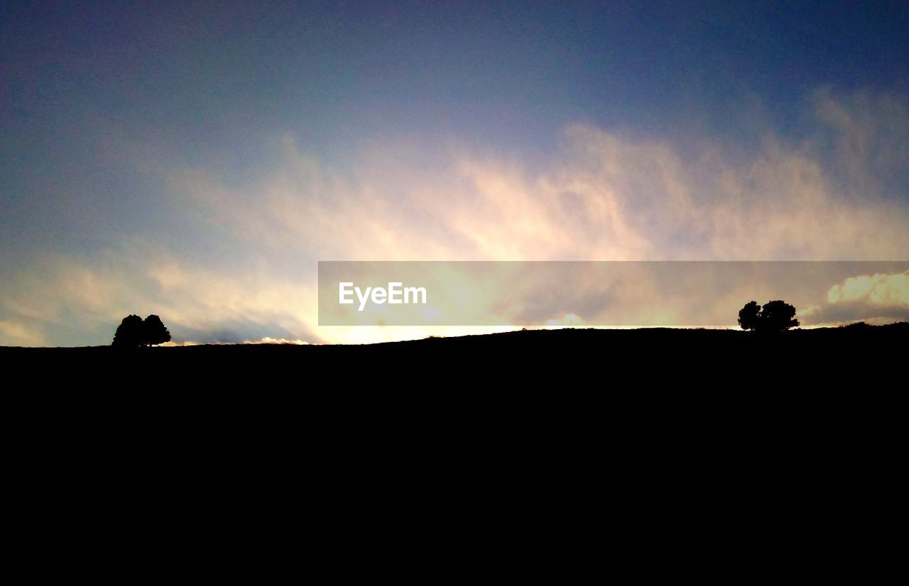 SILHOUETTE OF BIRDS ON LANDSCAPE AGAINST SKY