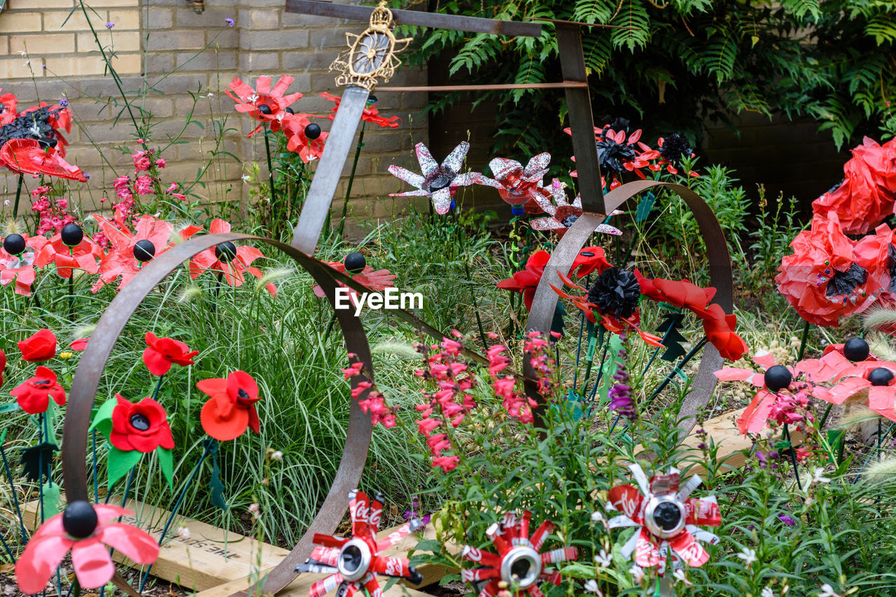 RED FLOWERING PLANTS IN GARDEN