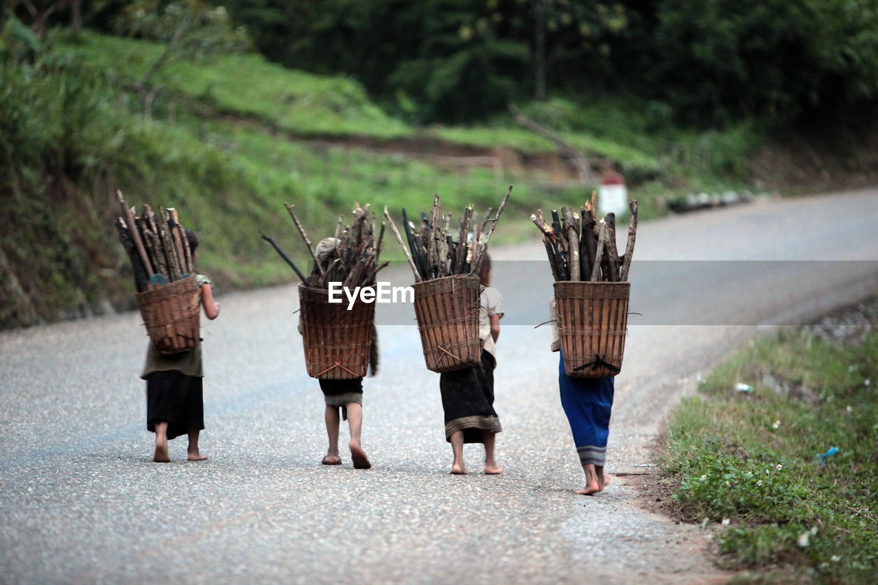 Rear view of women carrying firewood in basket on road