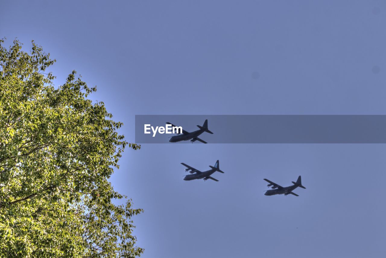 air vehicle, airplane, flying, mode of transportation, transportation, sky, on the move, nature, low angle view, air show, military, tree, no people, motion, mid-air, plane, blue, vehicle, travel, fighter plane, military airplane, clear sky, outdoors, aviation, air force, plant, aircraft, wing, day, teamwork, aerospace industry, army, cloud, cooperation, aerobatics