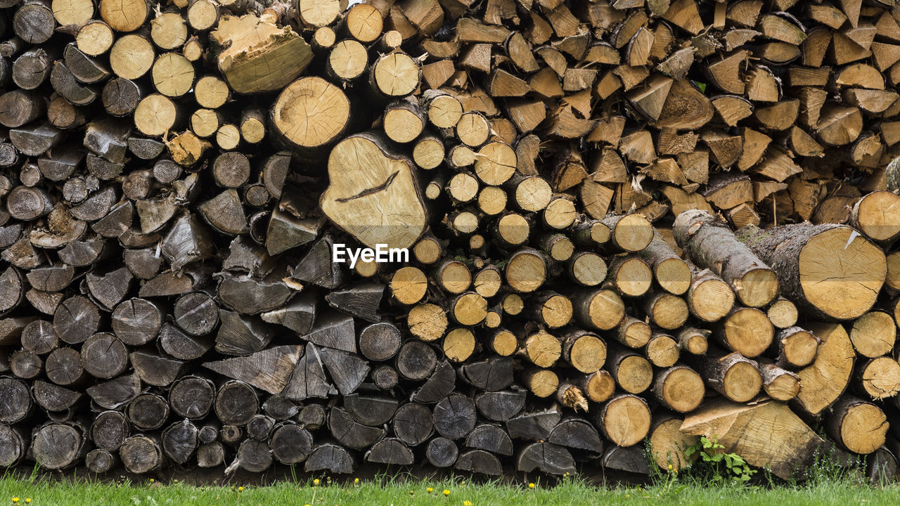 FULL FRAME SHOT OF LOGS IN THE FOREST