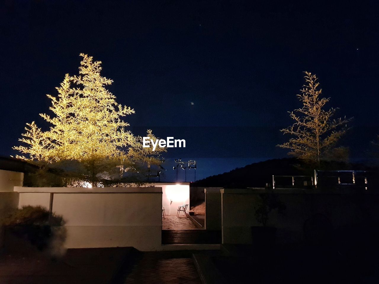 ILLUMINATED CHRISTMAS TREE AGAINST SKY