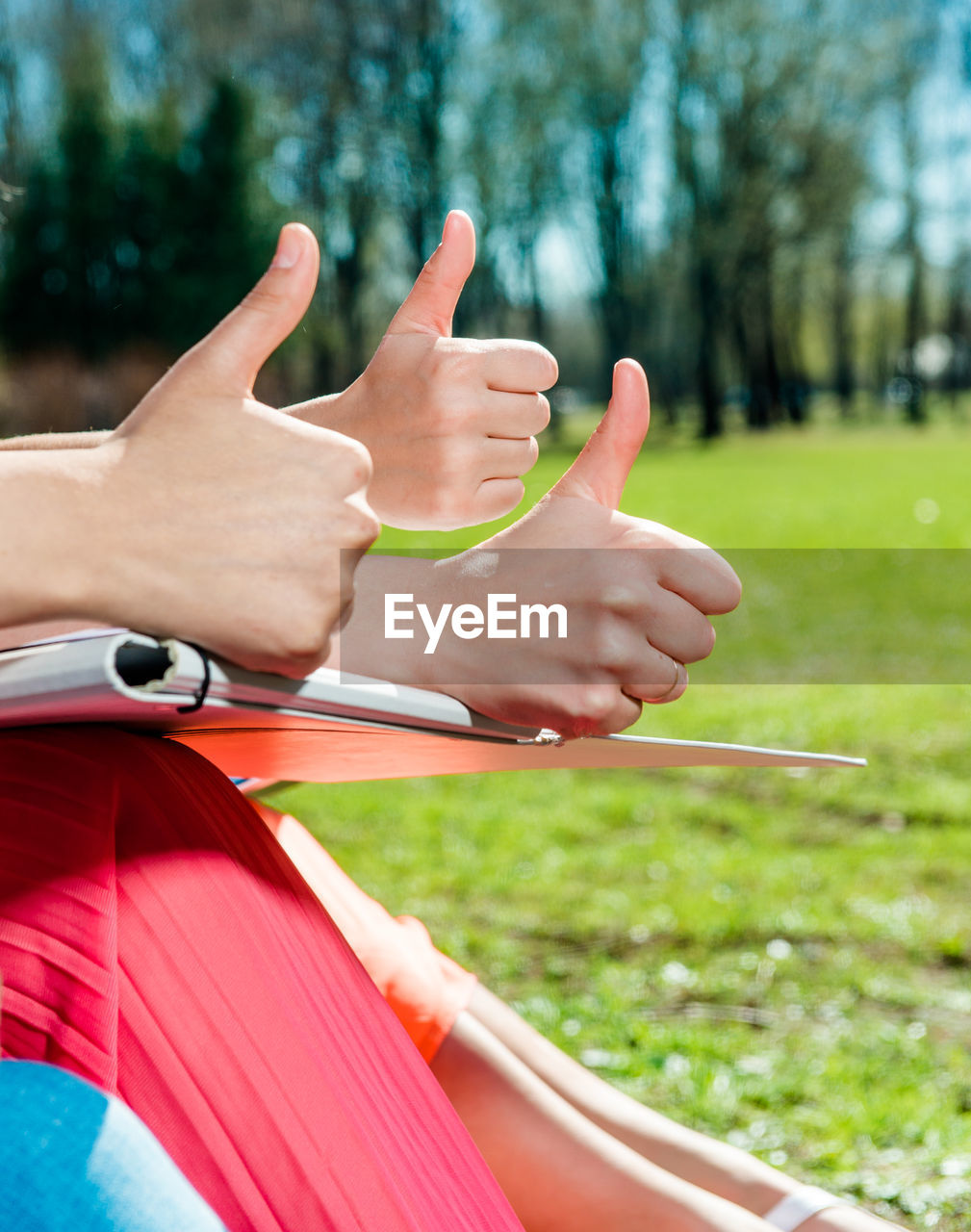 Cropped image of female friends gesturing thumbs up at park