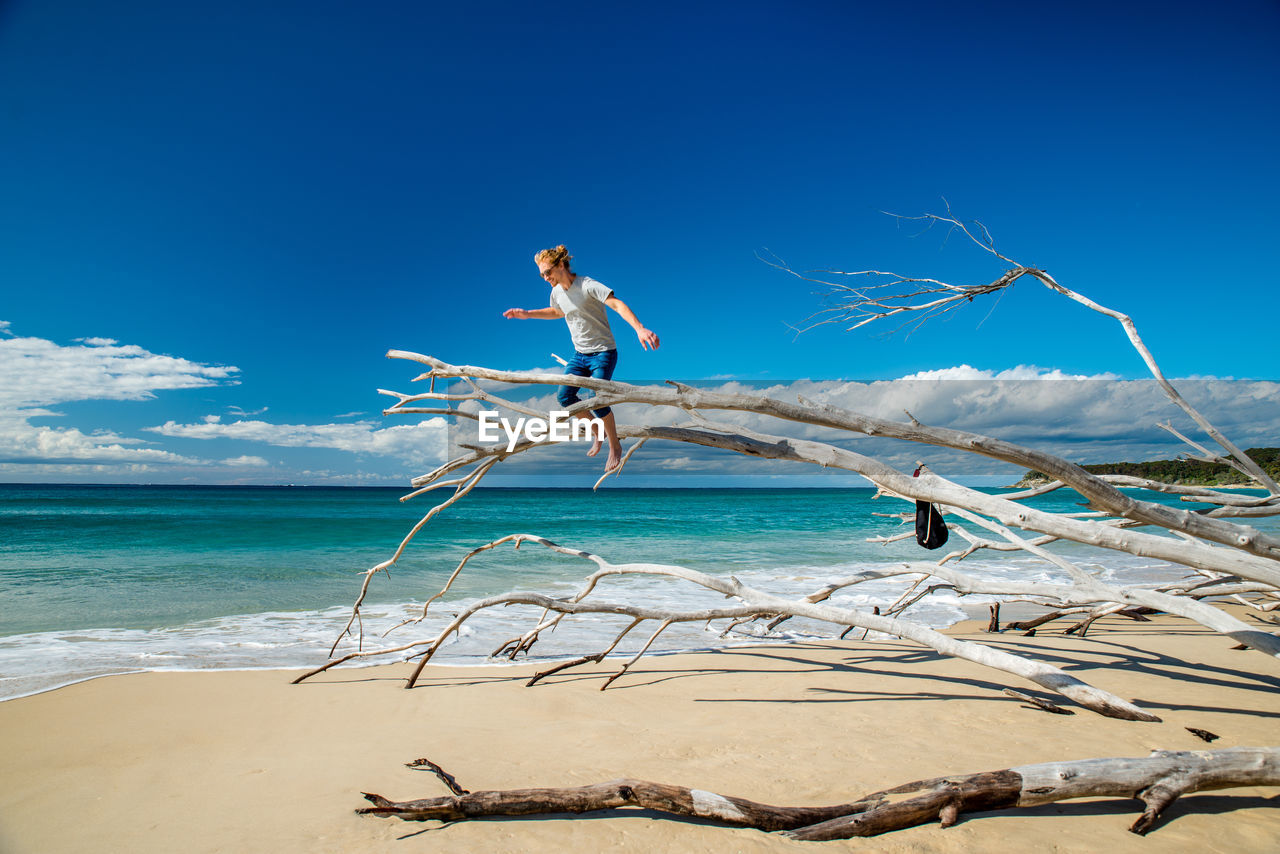 Low angle view of man standing on dead tree over sea