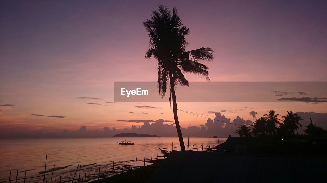 Low angle view of silhouette coconut palm tree by sea against sky at dusk