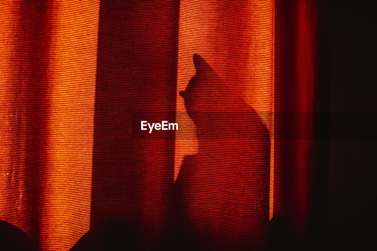 Shadow of cat seen through curtain