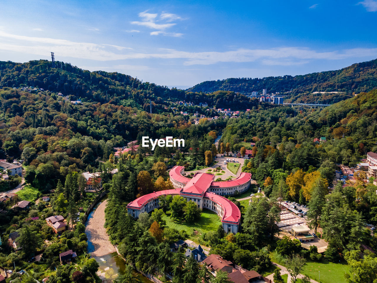 HIGH ANGLE VIEW OF TREES AND PLANTS ON MOUNTAIN