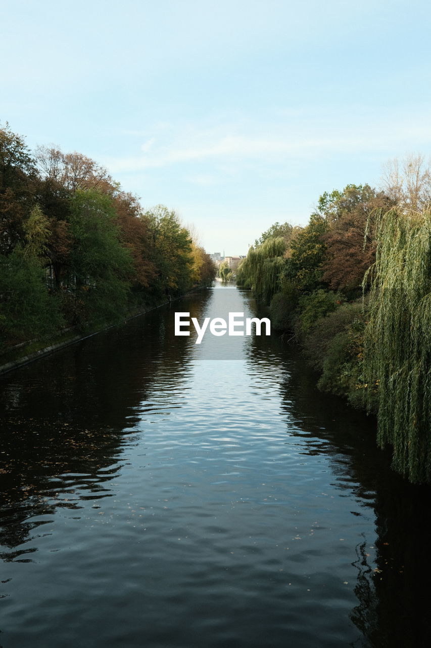 Scenic view of river amidst trees against sky