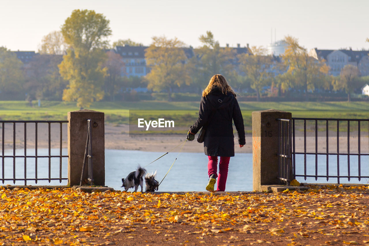 Rear view of woman with dogs standing in front of river