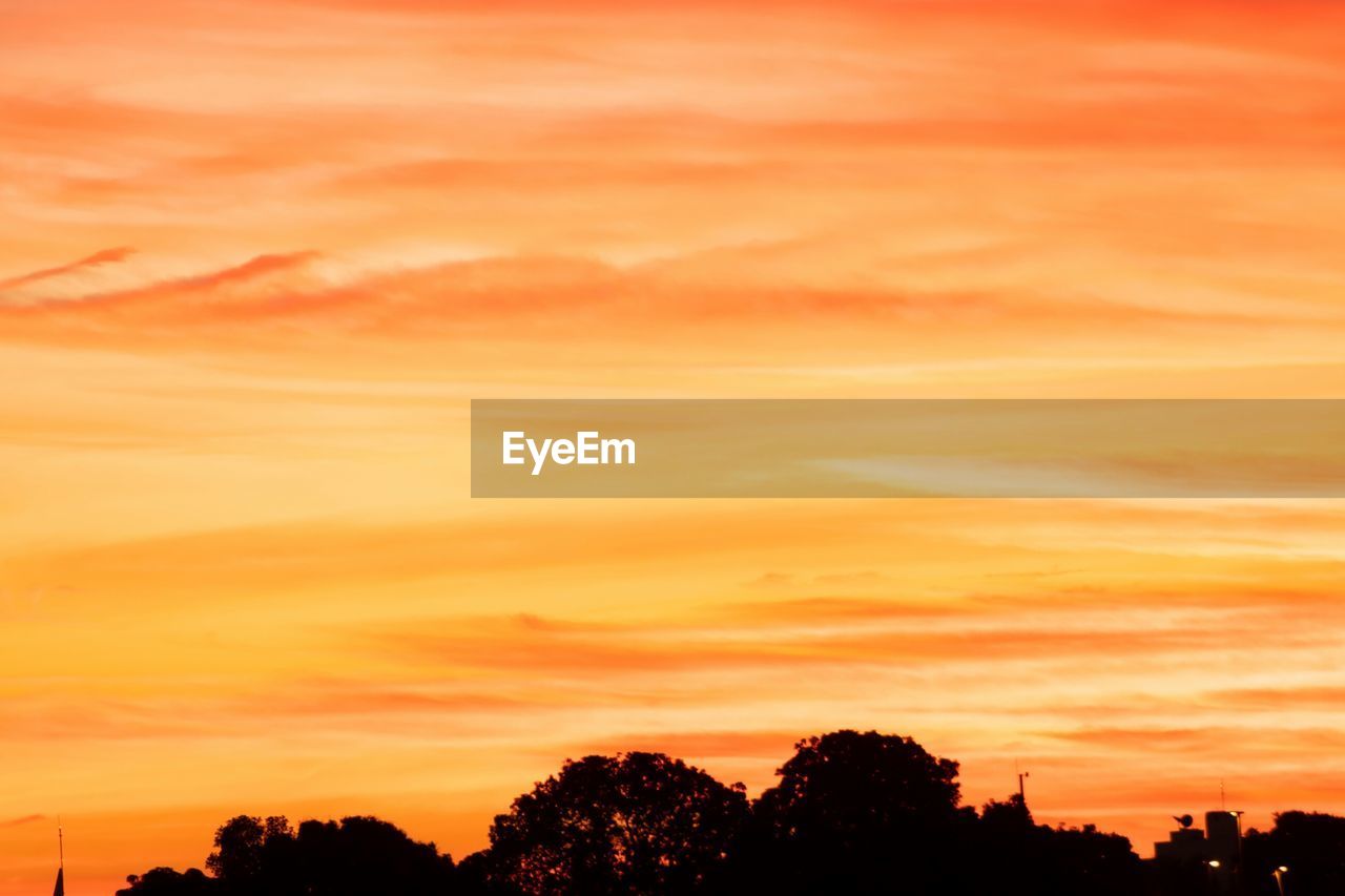 LOW ANGLE VIEW OF SILHOUETTE TREES AGAINST SKY DURING SUNSET