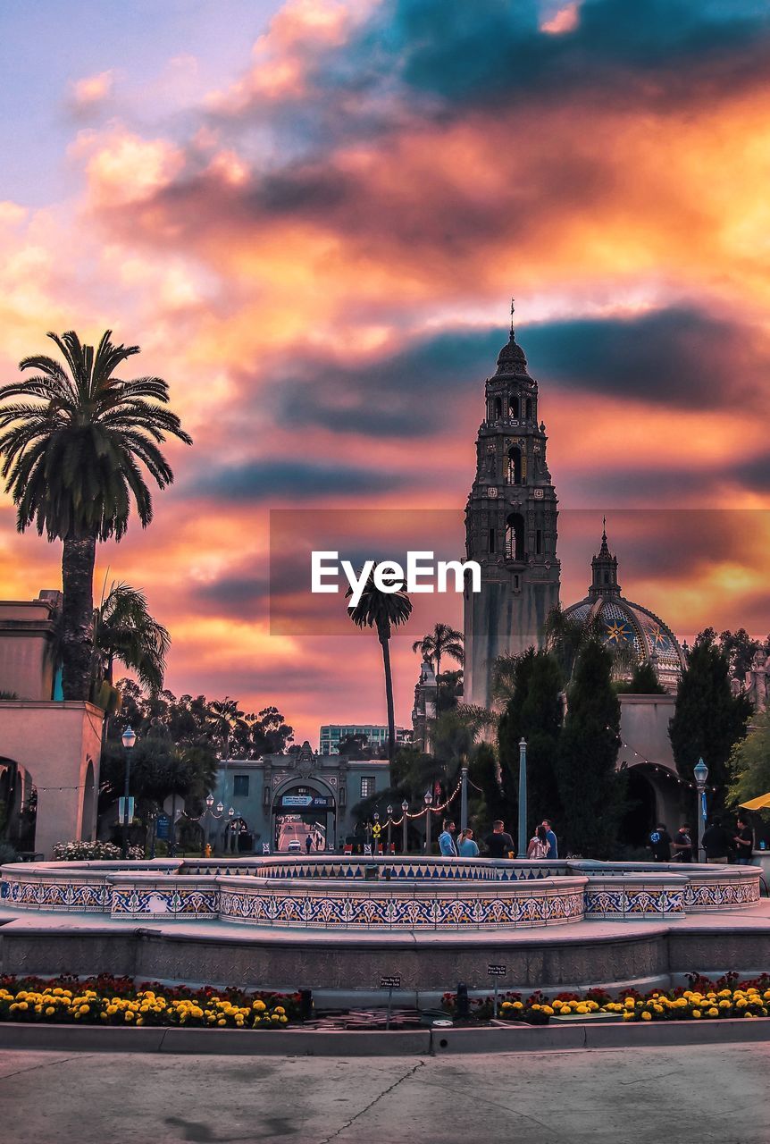 PALM TREES AND BUILDINGS AGAINST SKY