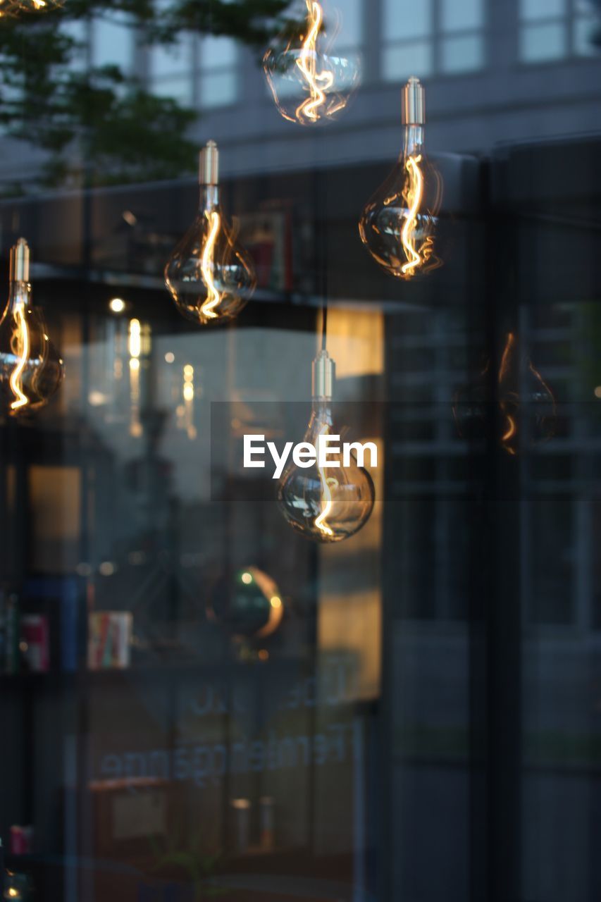 Close-up of illuminated light bulbs hanging from glass window