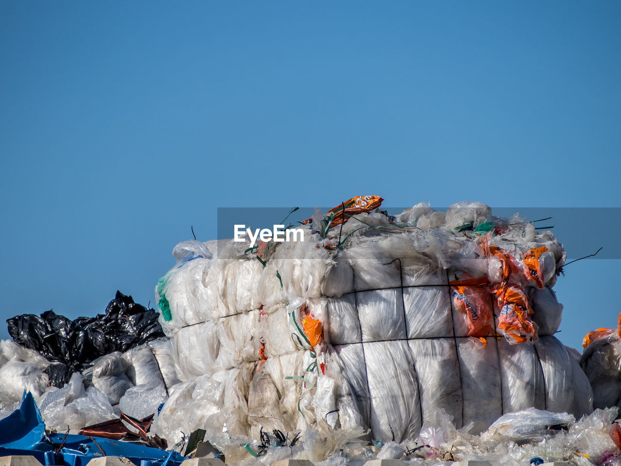 VIEW OF DEAD FISH AGAINST BLUE SKY