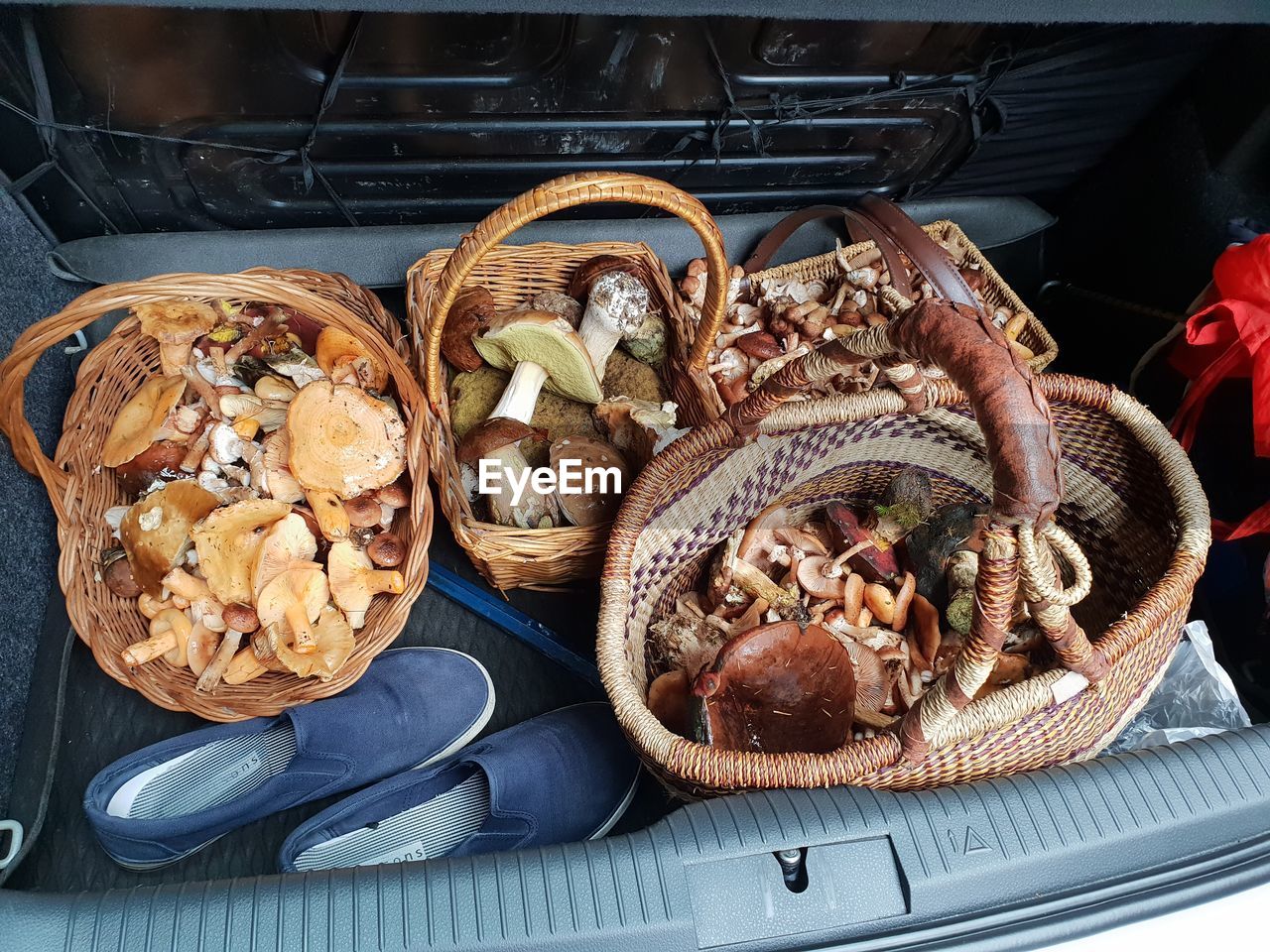 HIGH ANGLE VIEW OF MUSHROOMS IN WICKER BASKET ON TABLE