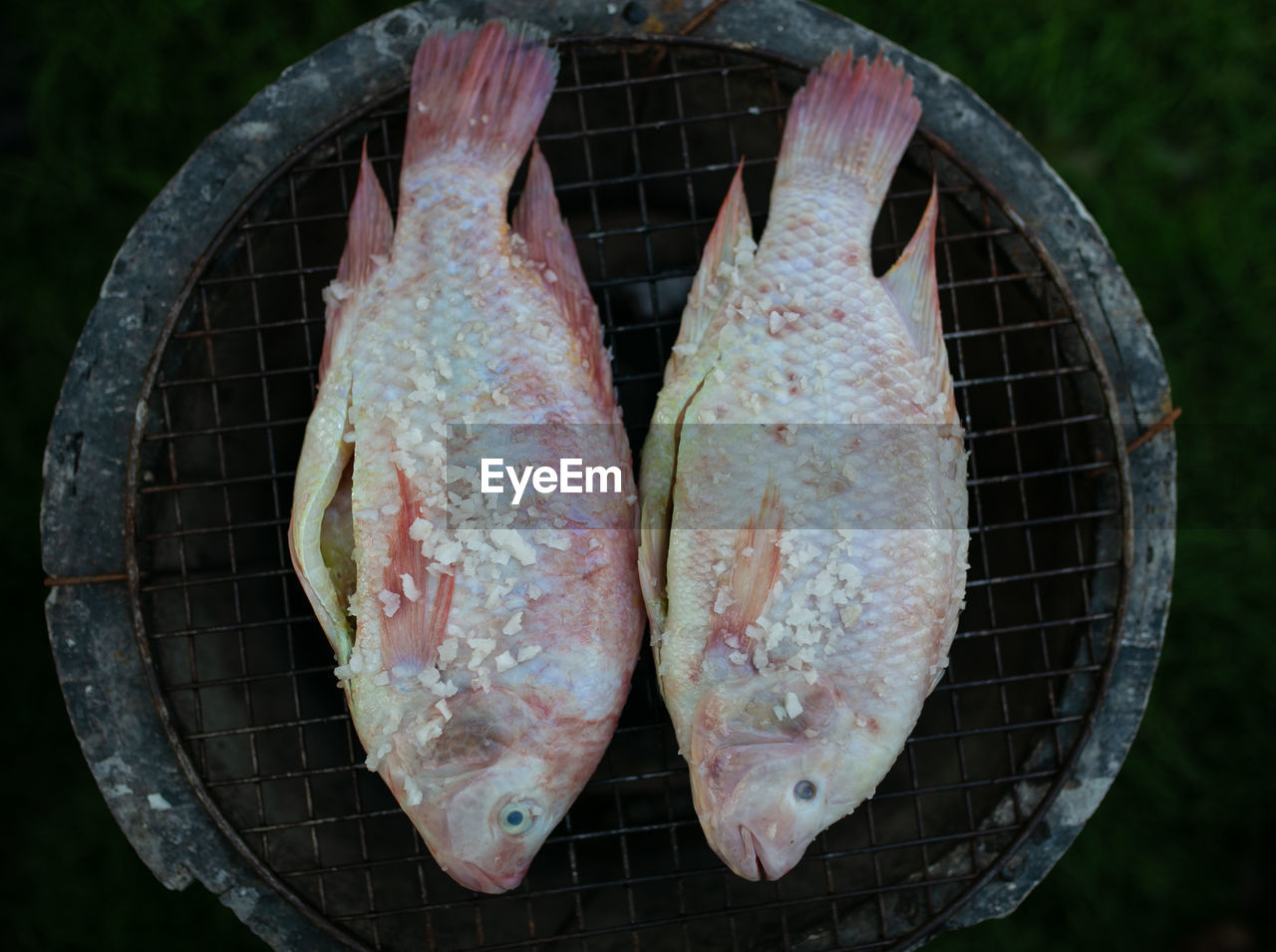 high angle view of fish on barbecue grill