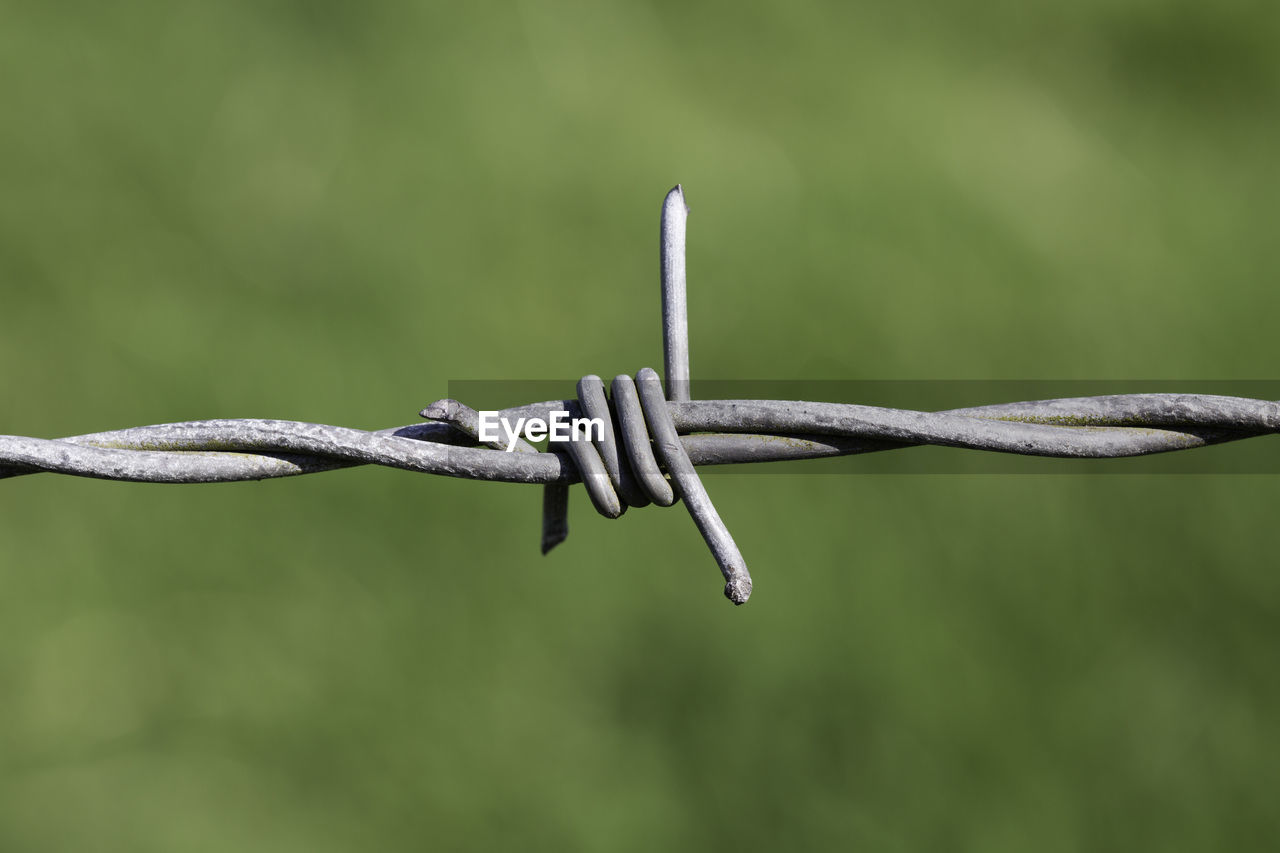 Close-up of barbed wire