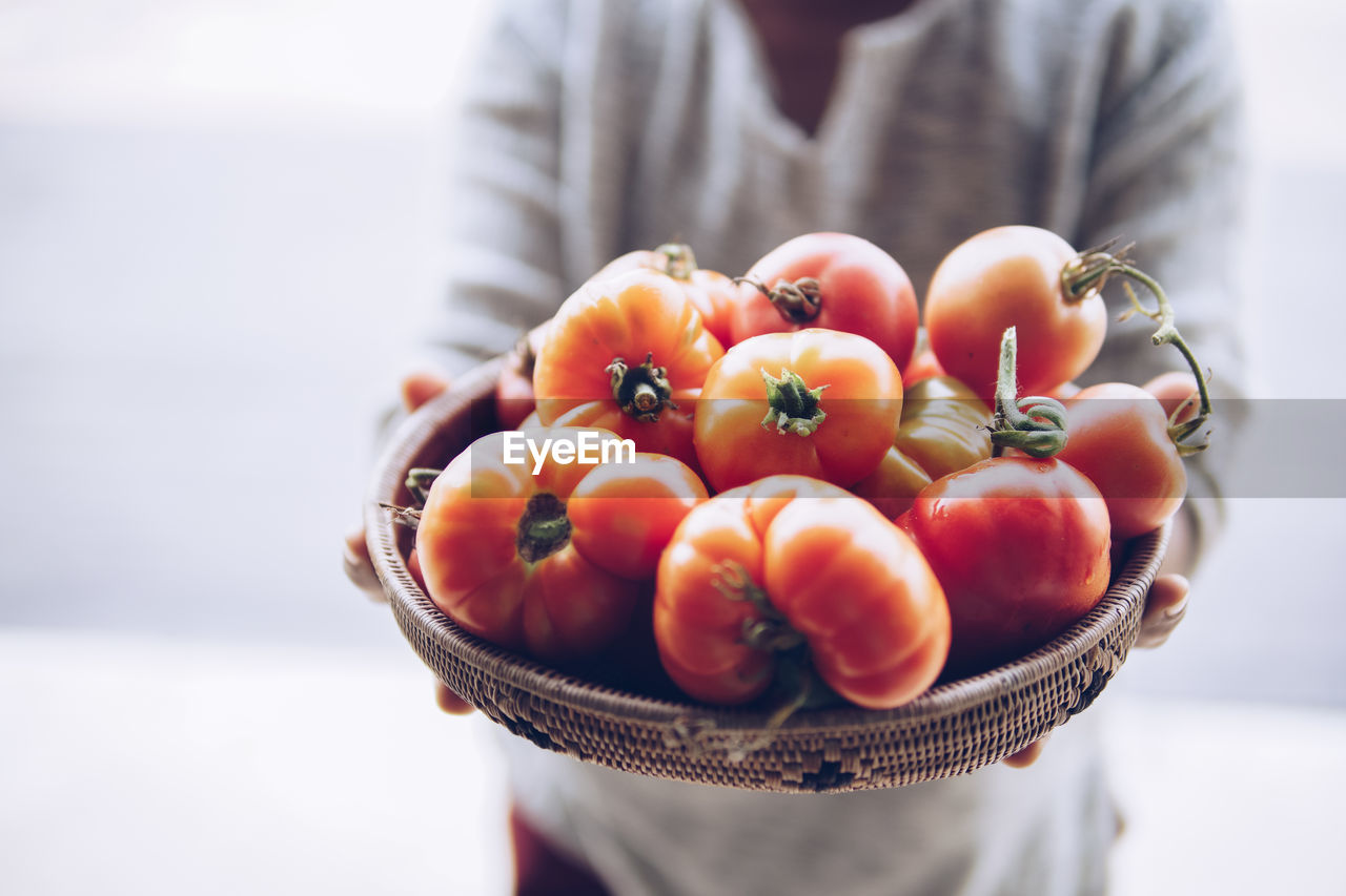 Hand holding fresh raw red tomatoes in wicker basket