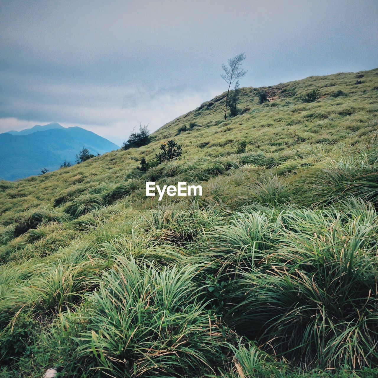 Low angle view of grassy hill against cloudy sky