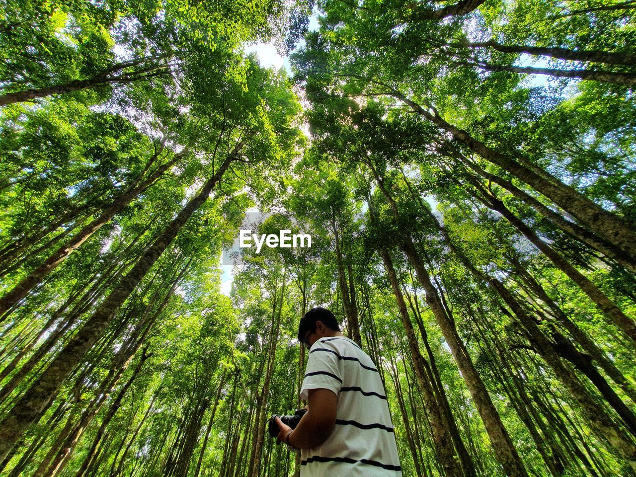 Low angle view of man in forest