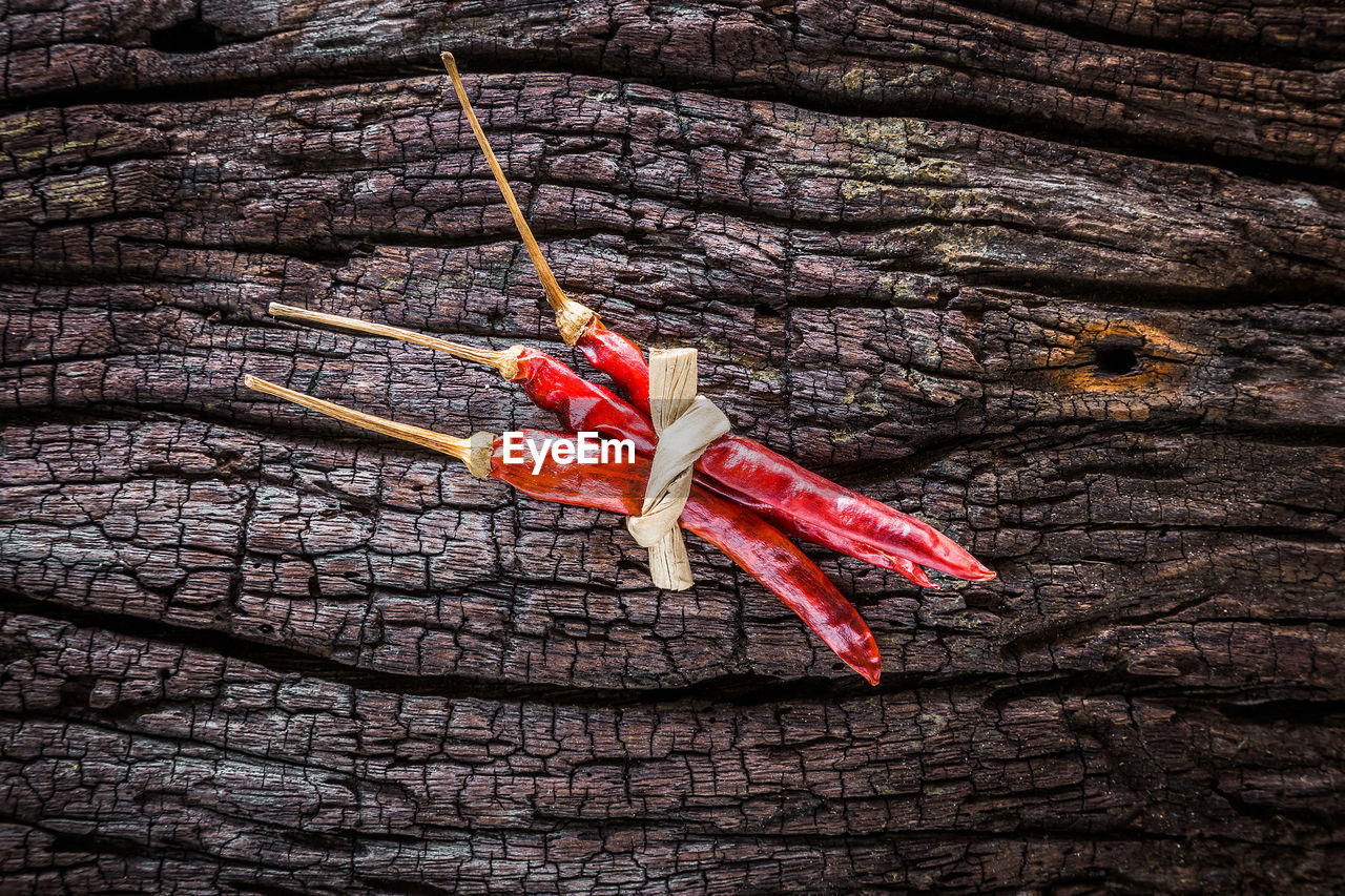 HIGH ANGLE VIEW OF RED LEAVES ON WOOD