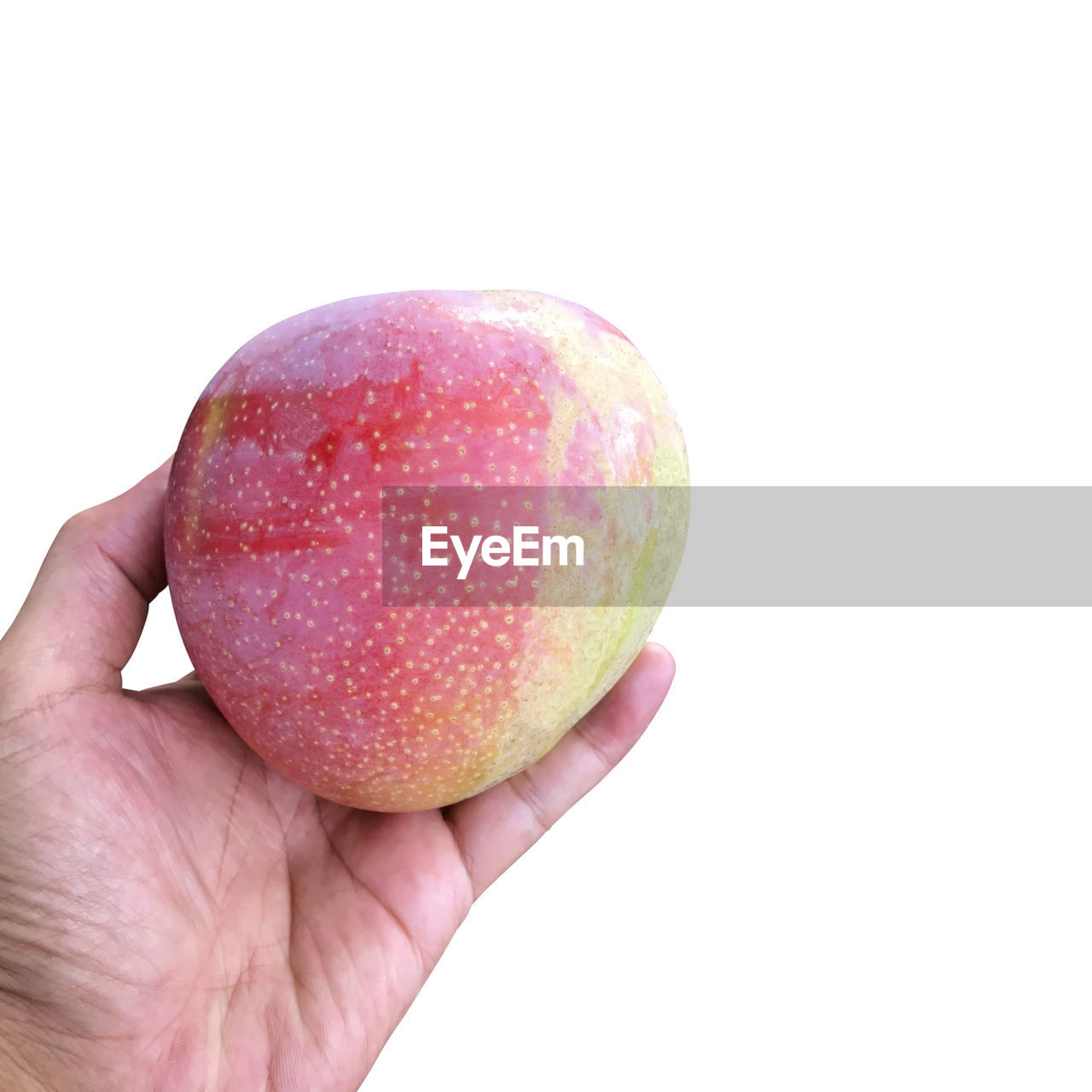 CLOSE-UP OF PERSON HOLDING APPLE