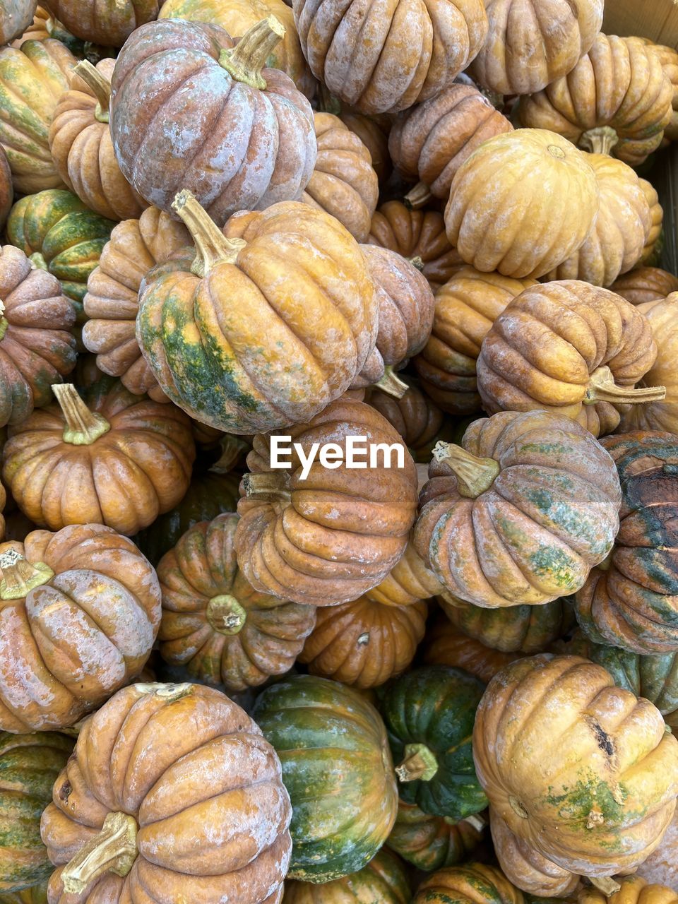 full frame shot of vegetables for sale